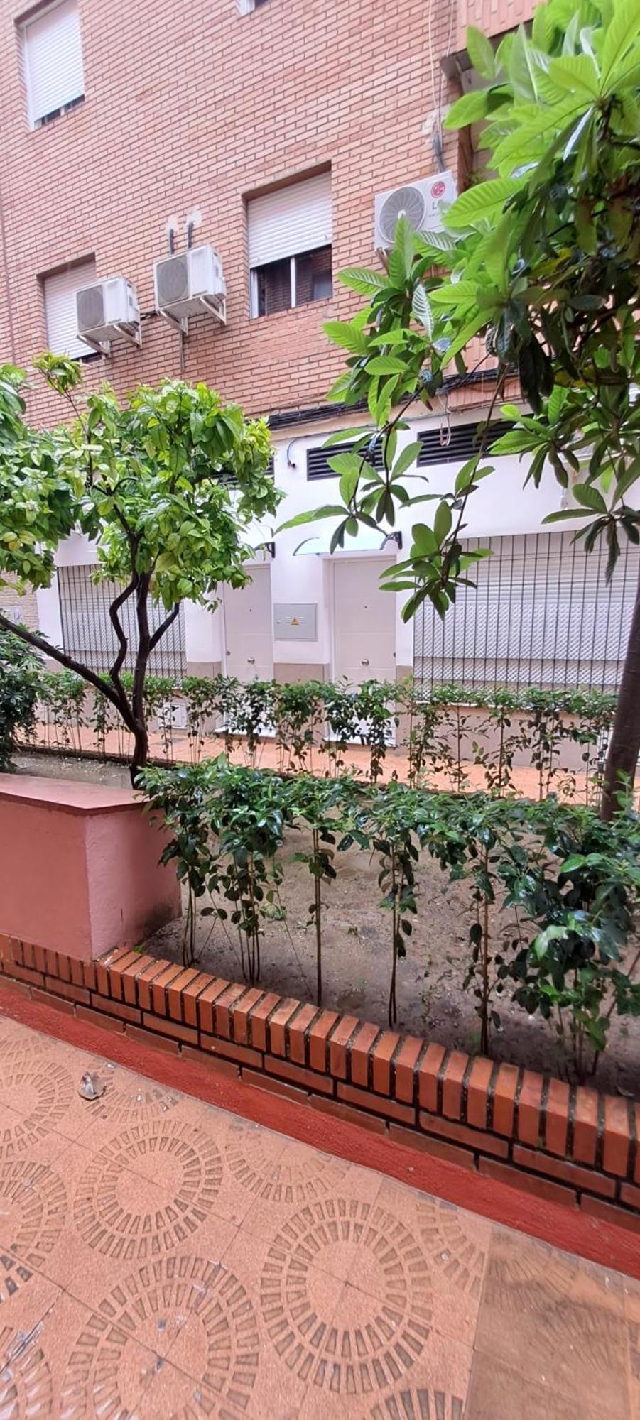 Apartamentos Suite Sol Cordova Esterno foto